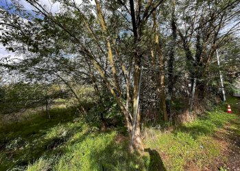 Terreno - Terreno edificabile via Fratelli di Dio, Busto Arsizio - foto 13