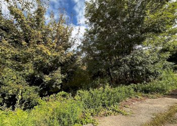 Terreno - Terreno edificabile via Fratelli di Dio, Busto Arsizio - foto 18