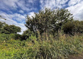 Terreno - Terreno edificabile via Fratelli di Dio, Busto Arsizio - foto 21