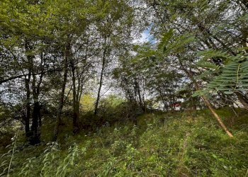 Terreno - Terreno edificabile via Fratelli di Dio, Busto Arsizio - foto 23