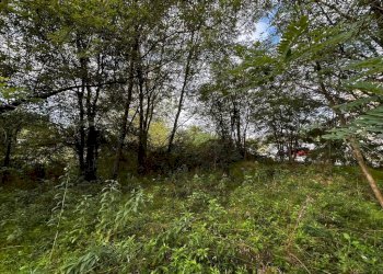 Terreno - Terreno edificabile via Fratelli di Dio, Busto Arsizio - foto 24