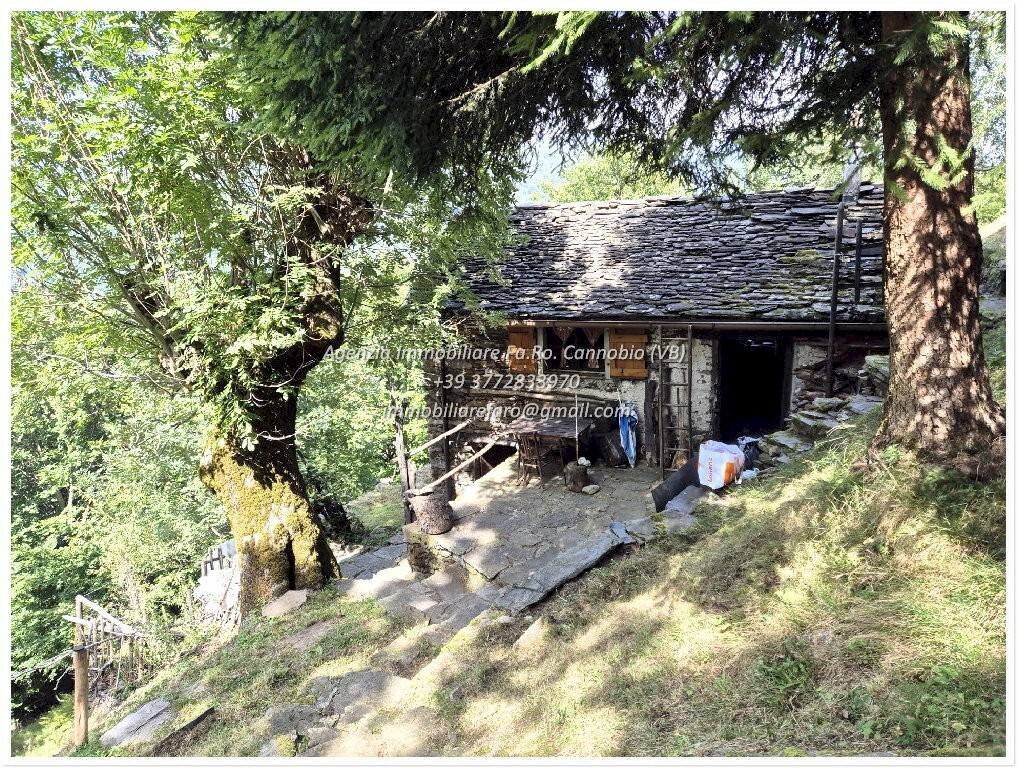 Terreno - Rustic Località Brentugno, Valle Cannobina - photo 1