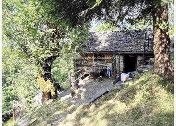 Terreno - Rustic Località Brentugno, Valle Cannobina - photo 1