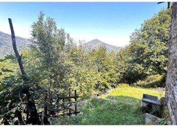 Terreno - Rustic Località Brentugno, Valle Cannobina - photo 4