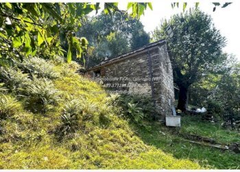Terreno - Rustic Località Brentugno, Valle Cannobina - photo 5