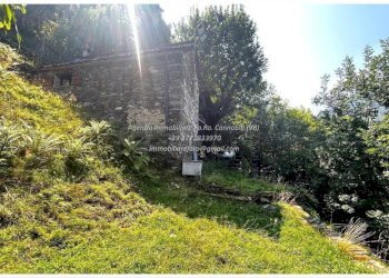 Terreno - Rustic Località Brentugno, Valle Cannobina - photo 6