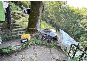 Giardino - Rustic Località Brentugno, Valle Cannobina - photo 7