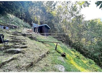 Terreno - Rustico Località Brentugno, Valle Cannobina - foto 8