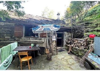 Giardino - Rustic Località Brentugno, Valle Cannobina - photo 9