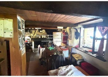 Cantina - Rustic Località Brentugno, Valle Cannobina - photo 16