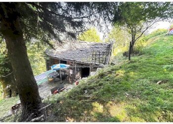 Terreno - Rustic Località Brentugno, Valle Cannobina - photo 18