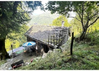 Terreno - Rustico Località Brentugno, Valle Cannobina - foto 19