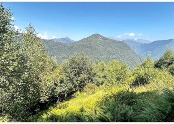 Vista - Rustico Località Brentugno, Valle Cannobina - foto 22