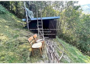 Terreno - Rustic Località Brentugno, Valle Cannobina - photo 24