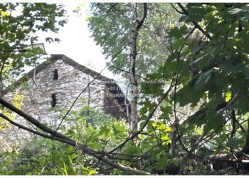 Terreno - Rustic Località Brentugno, Valle Cannobina - photo 30