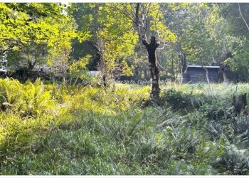 Terreno - Rustico Località Brentugno, Valle Cannobina - foto 33