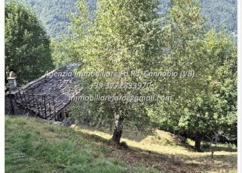 Terreno - Rustic Località Brentugno, Valle Cannobina - photo 34