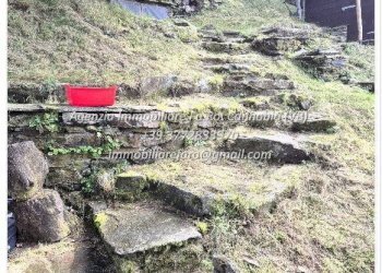 Terreno - Rustico Località Brentugno, Valle Cannobina - foto 43