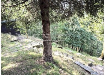 Terreno - Rustico Località Brentugno, Valle Cannobina - foto 44