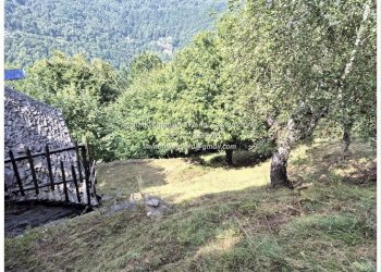 Terreno - Rustico Località Brentugno, Valle Cannobina - foto 45