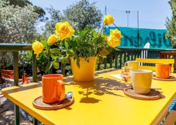 Terrazzo - Quadrilocale via Coriolano Bozzo, 29, Pieve Ligure - foto 12