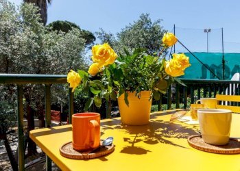 Giardino - Quadrilocale via Coriolano Bozzo, 29, Pieve Ligure - foto 26