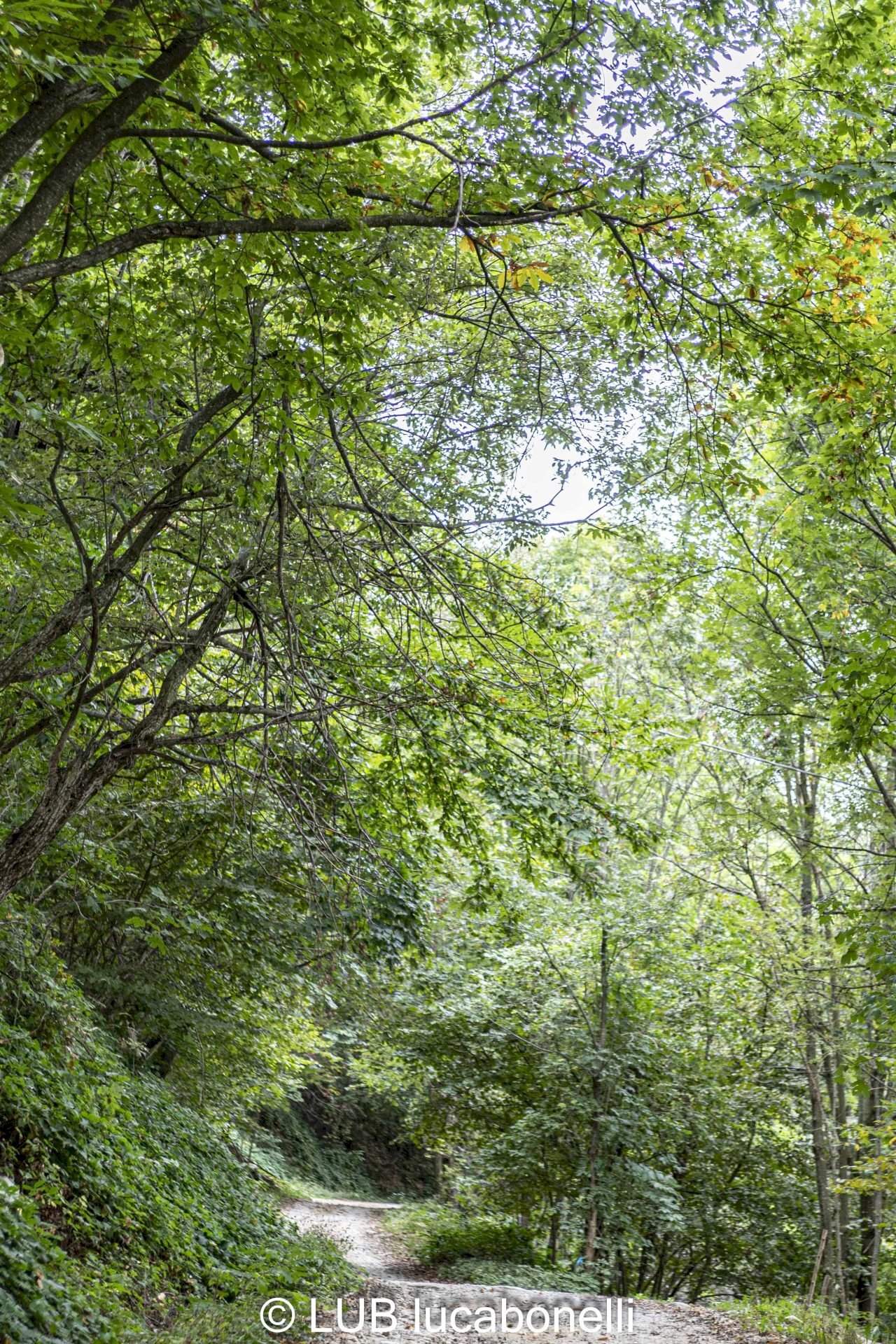 Baita Roccaforte Mondovì - photo 2