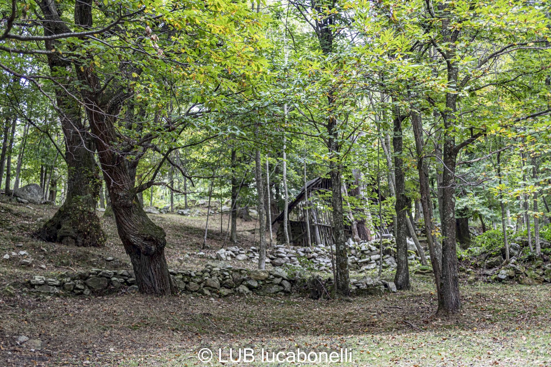Baita Roccaforte Mondovì - photo 3