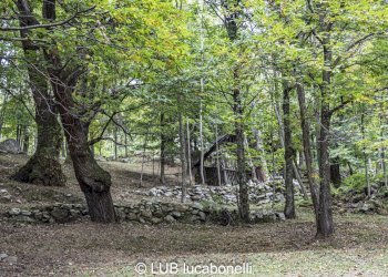 Baita Roccaforte Mondovì - photo 3