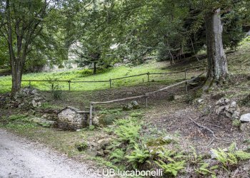 Baita Roccaforte Mondovì - photo 4