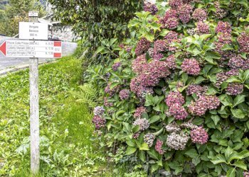 Baita Roccaforte Mondovì - photo 34