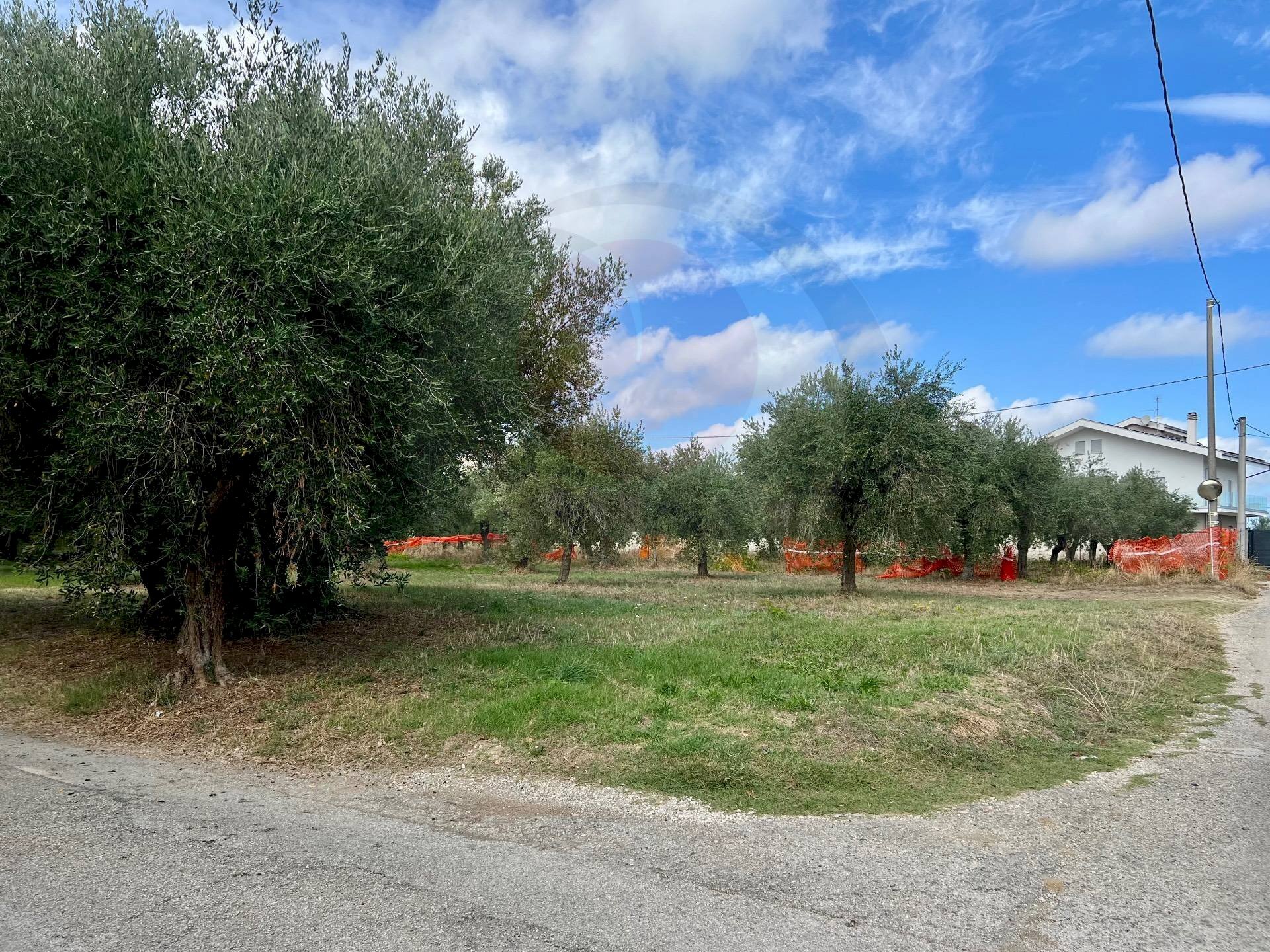 Foto 2 - Terreno edificabile via bologna, Lanciano - foto 2