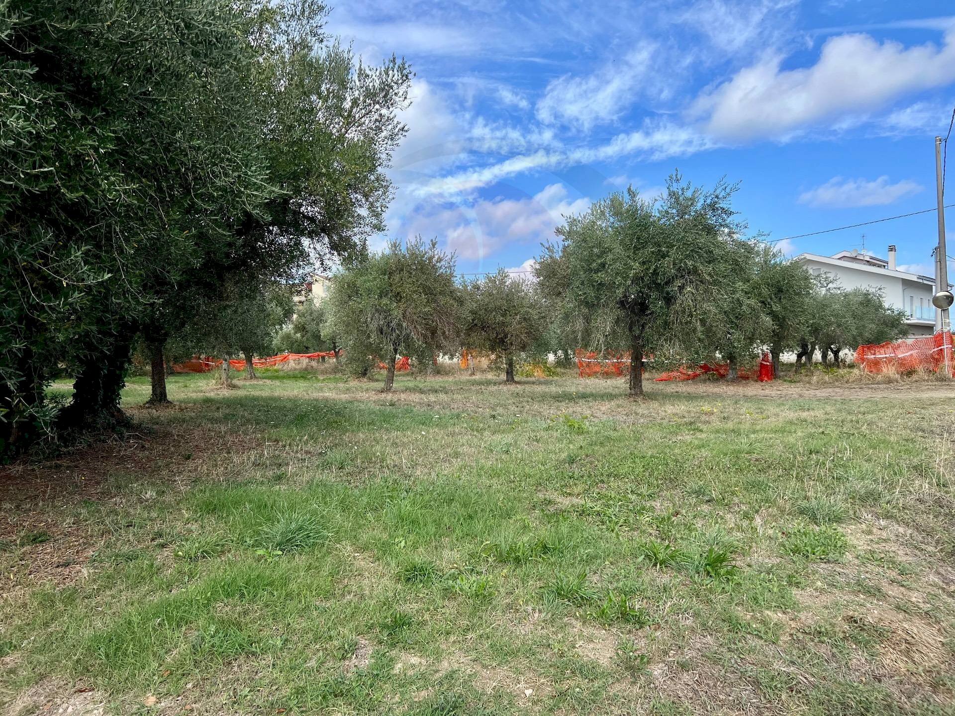 Foto 3 - Terreno edificabile via bologna, Lanciano - foto 3