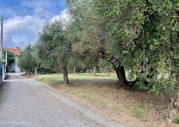 Foto 5 - Terreno edificabile via bologna, Lanciano - foto 5