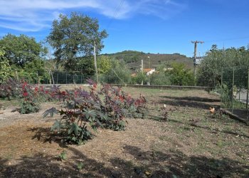 Foto 9 - Casa indipendente C/da Petrara, San Mango sul Calore - foto 9