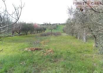 Foto 26 - Appartamento Via Salaria, Spinetoli - foto 26