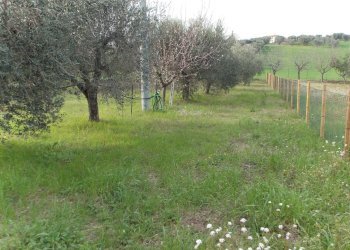 Foto 27 - Appartamento Via Salaria, Spinetoli - foto 27