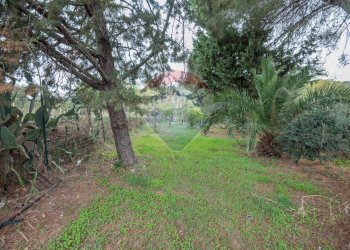 Giardino - Villa contrada sabugio, Piazza Armerina - foto 19