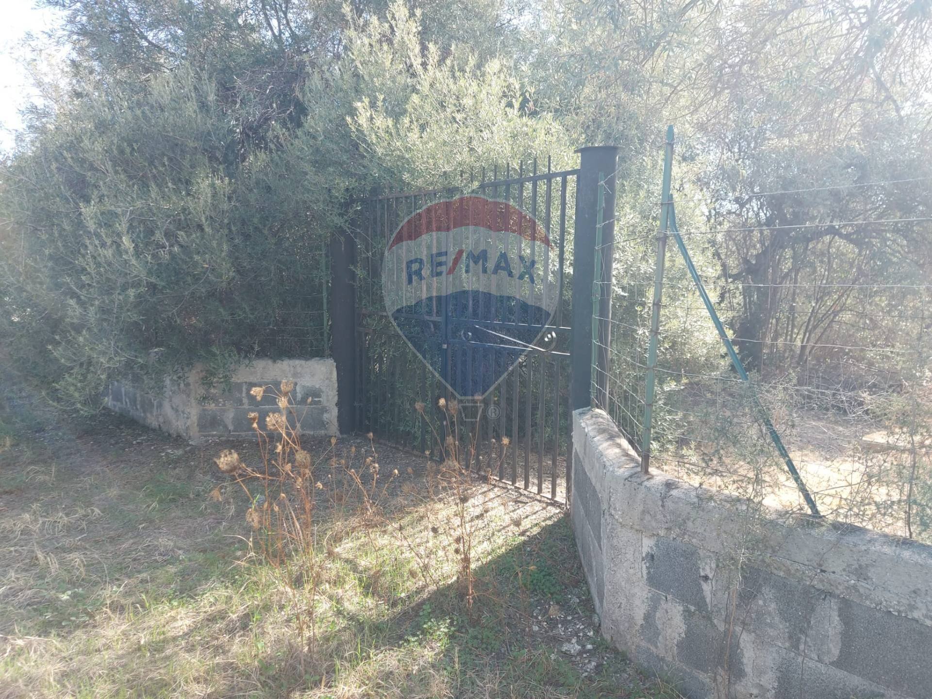 Giardino - Terreno agricolo Via Reno
 
snc, Priolo Gargallo - foto 3