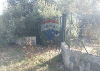 Giardino - Terreno agricolo Via Reno
snc, Priolo Gargallo - foto 3