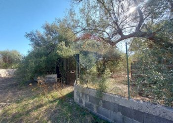 Giardino - Terreno agricolo Via Reno
snc, Priolo Gargallo - foto 4