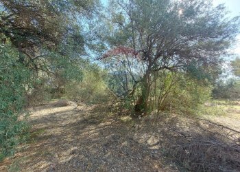 Giardino - Terreno agricolo Via Reno
snc, Priolo Gargallo - foto 7