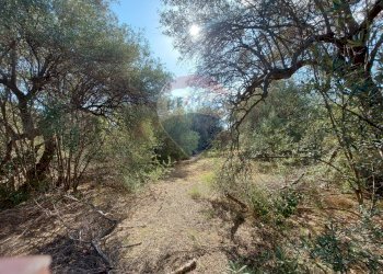 Giardino - Terreno agricolo Via Reno
snc, Priolo Gargallo - foto 8