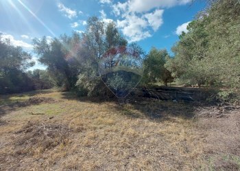 Giardino - Terreno agricolo Via Reno
snc, Priolo Gargallo - foto 9