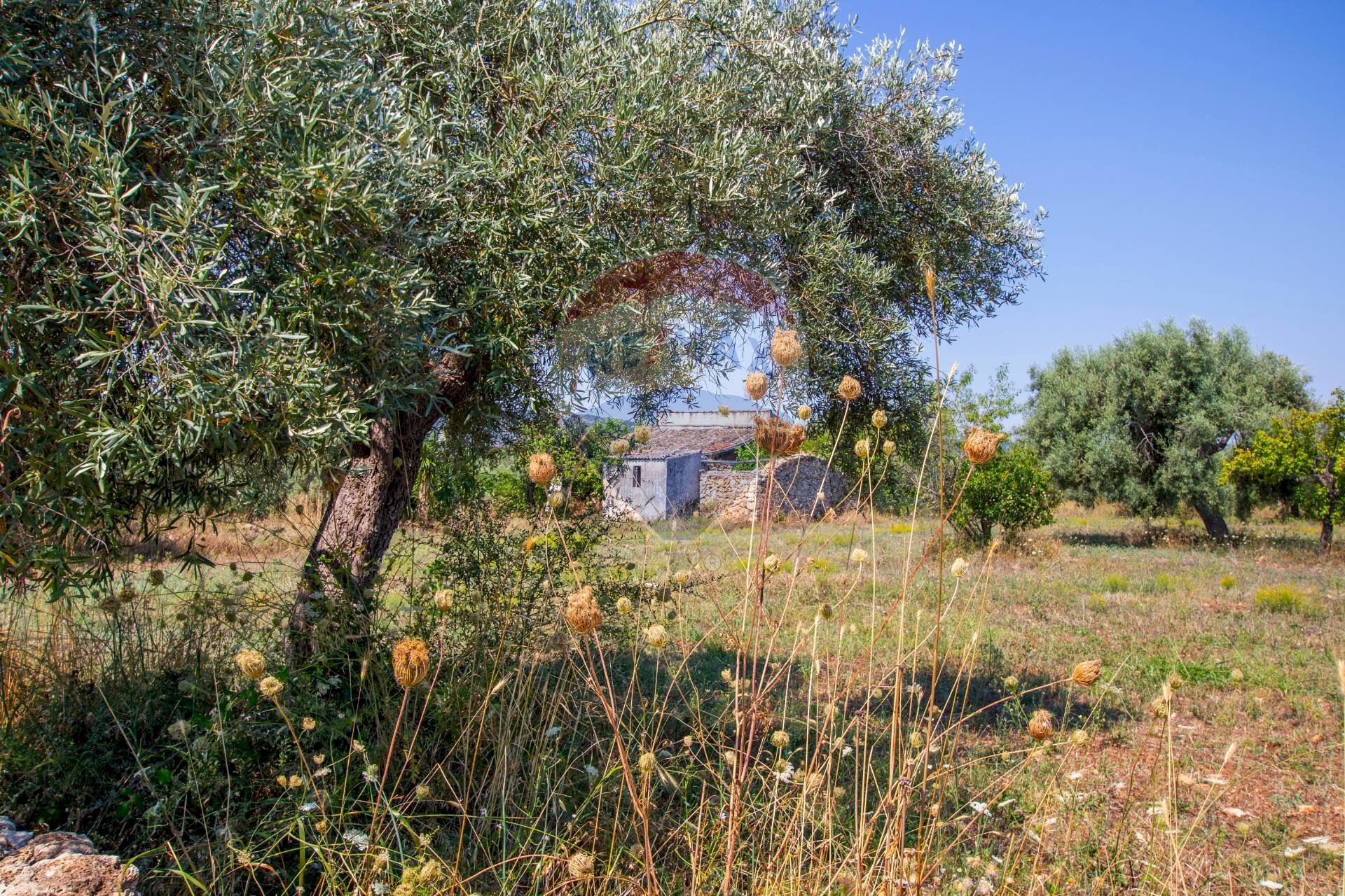 Giardino - Terreno agricolo Via per Canicattini
 
38, Canicattini Bagni - foto 1