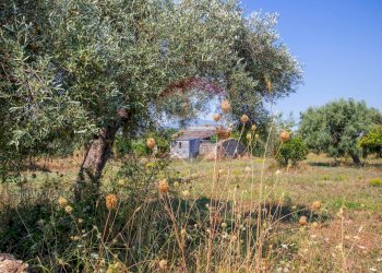 Giardino - Terreno agricolo Via per Canicattini
 
38, Canicattini Bagni - foto 1