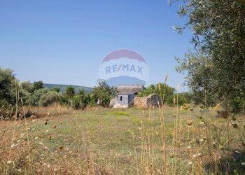Giardino - Terreno agricolo Via per Canicattini
 
38, Canicattini Bagni - foto 2