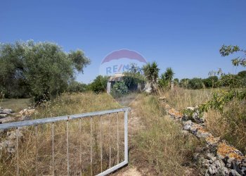 Non correlato - Terreno agricolo Via per Canicattini
 
38, Canicattini Bagni - foto 5