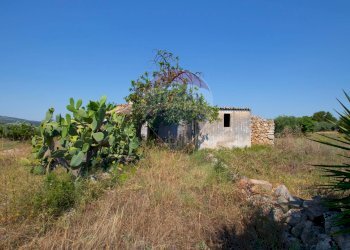 Giardino - Terreno agricolo Via per Canicattini
 
38, Canicattini Bagni - foto 6
