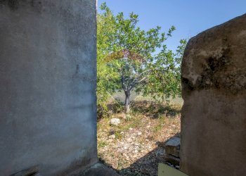 Non correlato - Terreno agricolo Via per Canicattini
 
38, Canicattini Bagni - foto 12